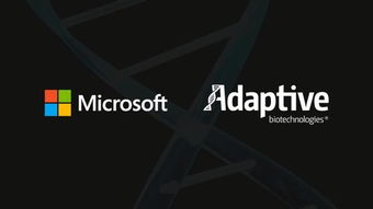 微軟以人工智能解碼免疫系統(tǒng) 開(kāi)啟精準(zhǔn)醫(yī)療新時(shí)代的軟件開(kāi)發(fā)浪潮